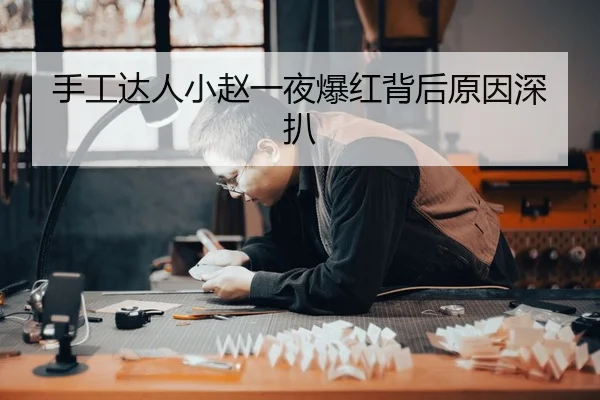 手工达人小赵一夜爆红背后原因深扒